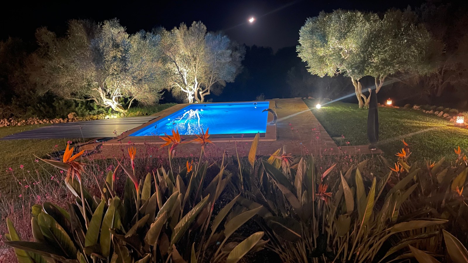 Los Hibiscus, the pool lit at night
